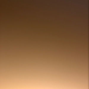 Meet your Posher, Anony